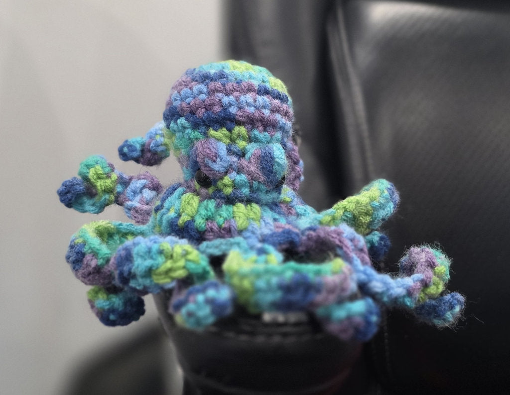 Drift The Multicolour Octopus